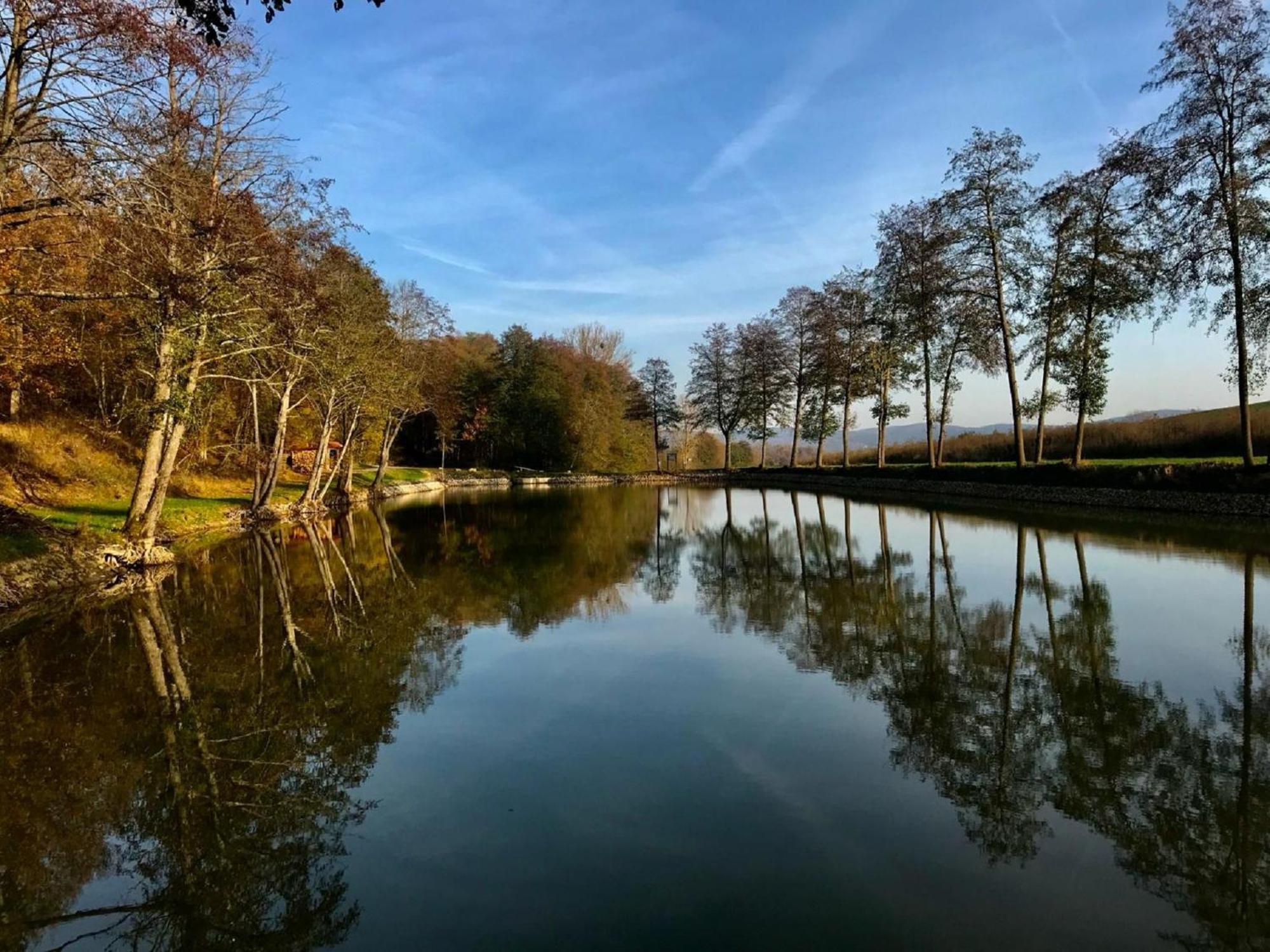 Ferienwohnungen Goja Bad Königshofen im Grabfeld Exterior foto